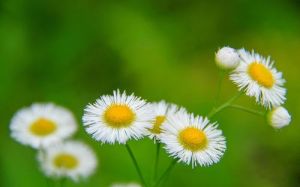 0416 test