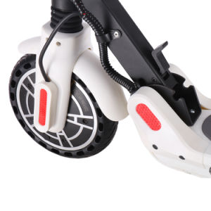 Electric Scooter - 350W Motor 8.5" Solid Tires Step Fold, Adult Electric Scooter for Commute and Travel