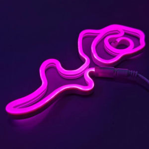 1set  DIY Shapeable Neon Strip Light (BS2200)