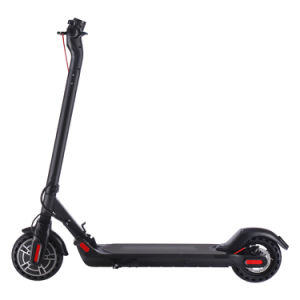 Electric Scooter - 350W Motor 8.5" Solid Tires Step Fold, Adult Electric Scooter for Commute and Travel