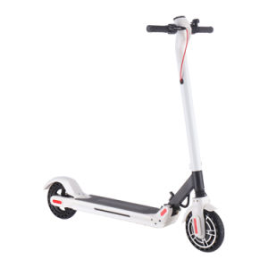 Electric Scooter - 350W Motor 8.5" Solid Tires Step Fold, Adult Electric Scooter for Commute and Travel