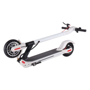 Electric Scooter - 350W Motor 8.5" Solid Tires Step Fold, Adult Electric Scooter for Commute and Travel