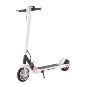 Electric Scooter - 350W Motor 8.5" Solid Tires Step Fold, Adult Electric Scooter for Commute and Travel