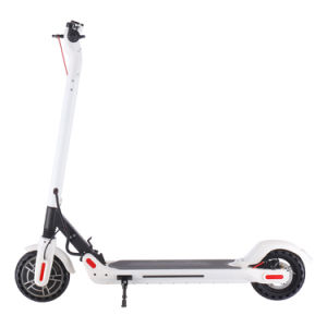 Electric Scooter - 350W Motor 8.5" Solid Tires Step Fold, Adult Electric Scooter for Commute and Travel