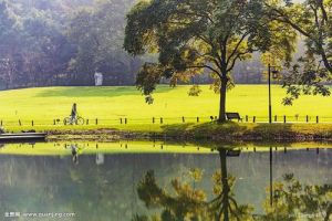 t Haze Face Mouth P¥