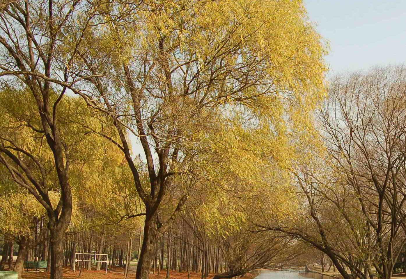 51p test 1-1 + sampl+! @# %$%  %^&(&)1p test 1-1 + sampl+! @# %$%  %^&(&)__+(_ }| {|":"? >><>  qwer234123wqerqwer qwer qwer qw__+(_ }| {|":"? >><>  qwer234123wqerqwer qwer qwer qwerqwe123412341234 123