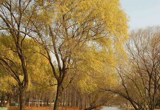 51p test 1-1 + sampl+! @# %$%  %^&(&)1p test 1-1 + sampl+! @# %$%  %^&(&)__+(_ }| {|":"? >><>  qwer234123wqerqwer qwer qwer qw__+(_ }| {|":"? >><>  qwer234123wqerqwer qwer qwer qwerqwe123412341234 123